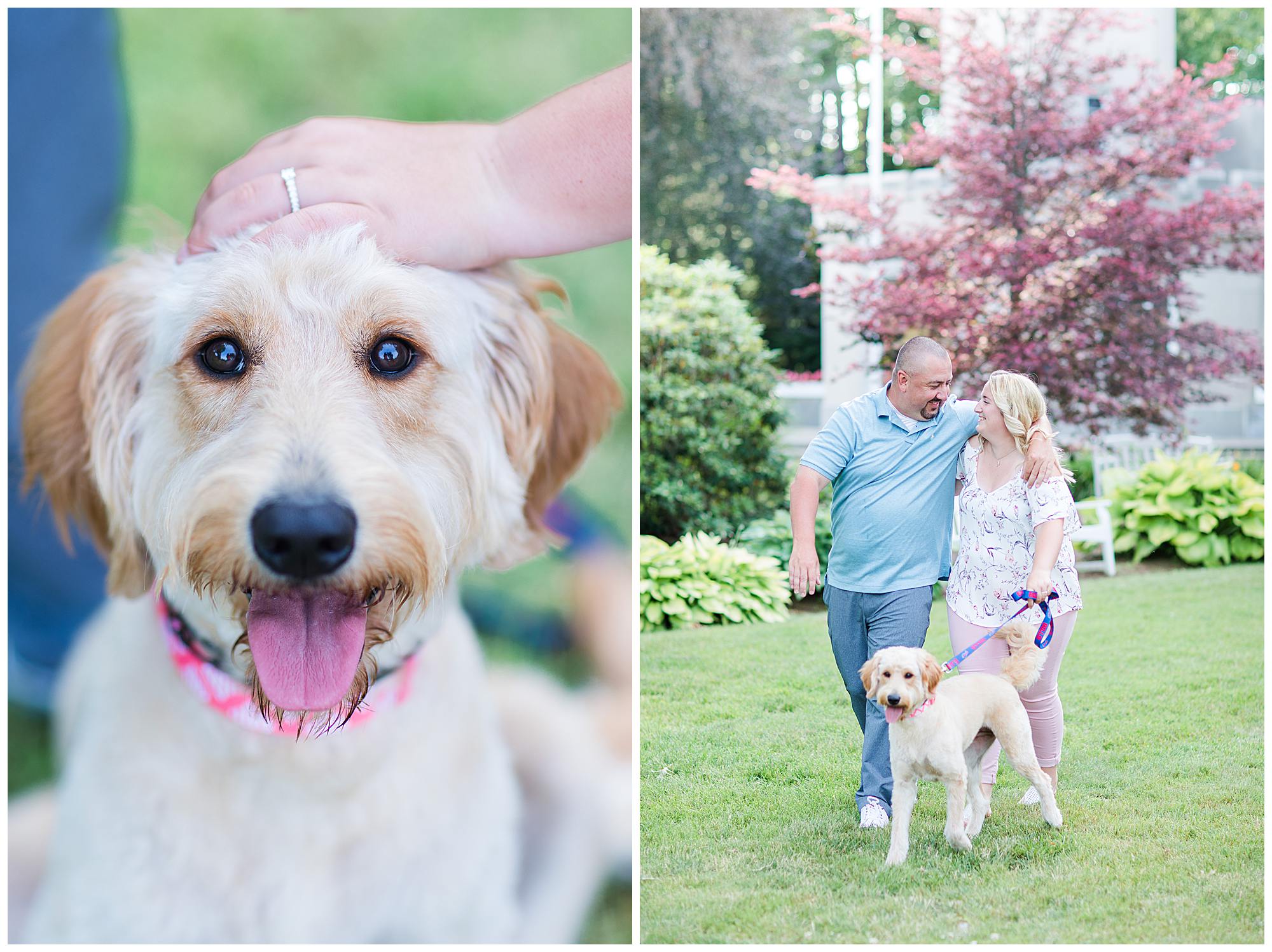 Ashley + Jason | Stanley Park Engagement