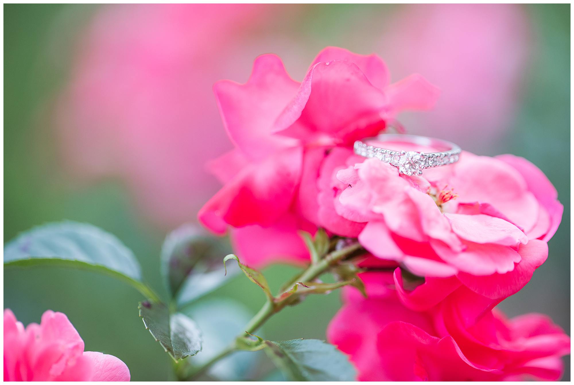 Ashley + Jason | Stanley Park Engagement