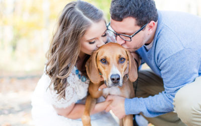 Andrea + Brian | New England Engagement